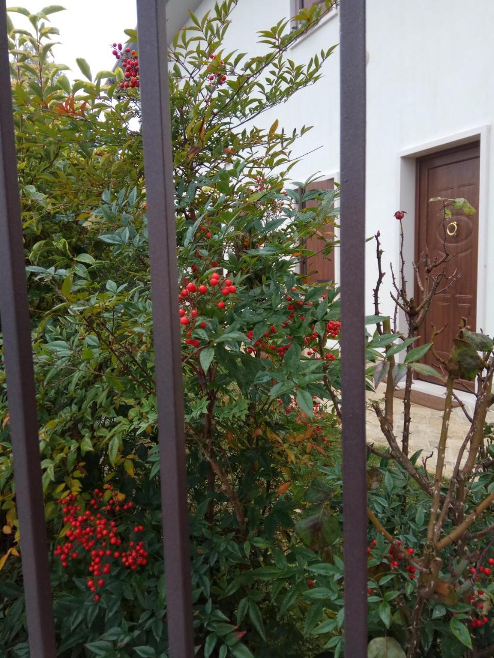 Hotel La Siesta Villafranca di Verona Exterior foto